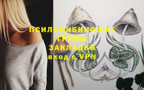 дурь Алзамай
