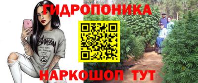МДПВ Ливны