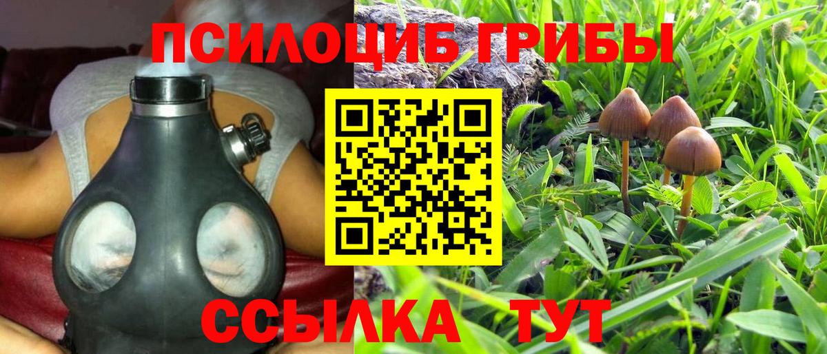 Десногорск  Галлюциногенные грибы GOLDEN TEACHER  Вход с VPN 